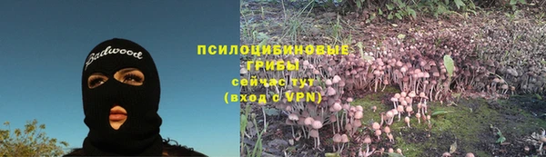 молекула духа Кукмор