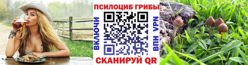 Галлюциногенные грибы MAGIC MUSHROOMS  Купить  Мантурово 